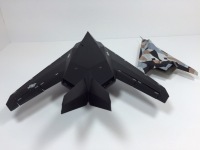 F-117A Nighthawk & Have Blue