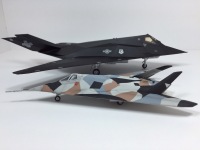 F-117A Nighthawk & Have Blue
